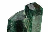Lustrous, Blue-Green Fluorapatite Crystal - New Find! #243399-2